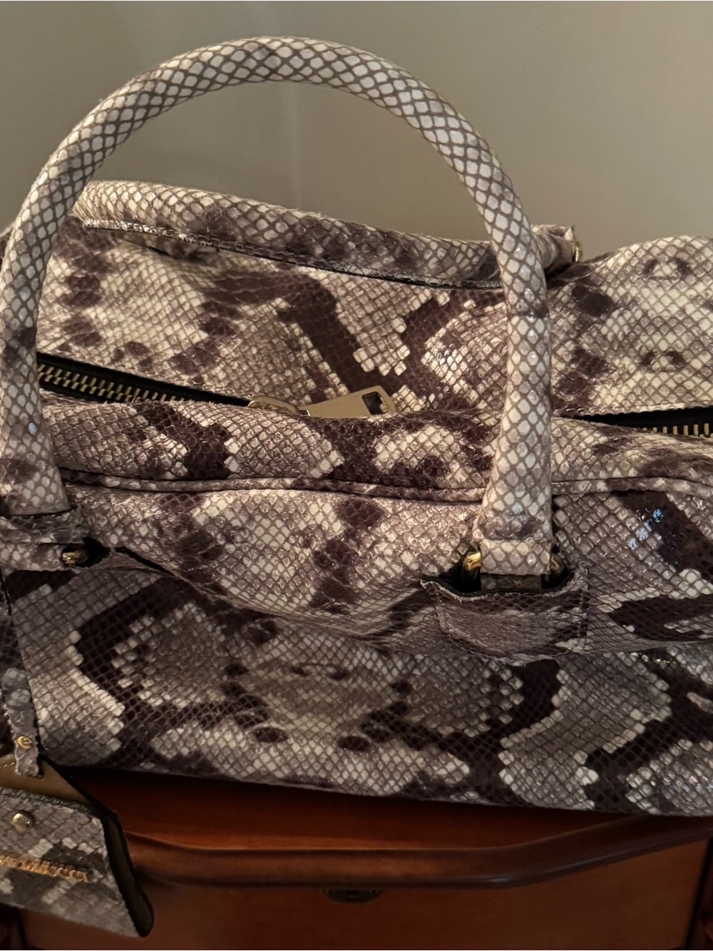 A. Bellucci Python-Pattern Satchel Handbag in Gray and Cream